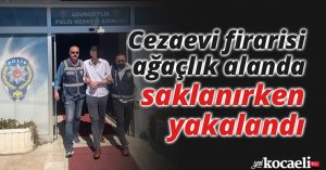 Cezaevi firarisi ağaçlık alanda saklanırken yakalandı