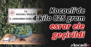 Kocaeli'de 4 kilo 825 gram esrar ele geçirildi