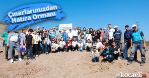 Çınarlarımızdan Hatıra Ormanı