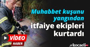 Muhabbet kuşunu yangından itfaiye ekipleri kurtardı