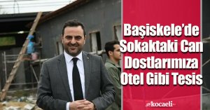 Başiskele’de Sokaktaki Can Dostlarımıza Otel Gibi Tesis  