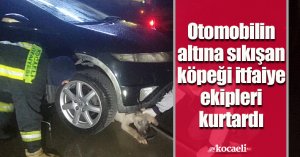 Otomobilin altına sıkışan köpeği itfaiye ekipleri kurtardı