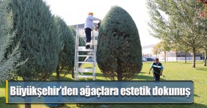 Büyükşehir’den ağaçlara estetik dokunuş