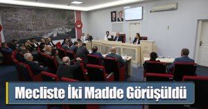 Mecliste İki Madde Görüşüldü