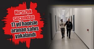Hırsızlık suçundan 17 yıl hapisle aranan şahıs yakalandı
