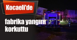 Kocaeli'de fabrika yangını korkuttu