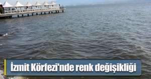 İzmit Körfezi'nde renk değişikliği