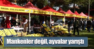 Mankenler değil, ayvalar yarıştı