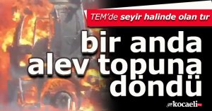 TEM’de seyir halinde olan tır bir anda alev topuna döndü
