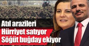 Atıl arazilere buğday ekildi, kompost kullanıldı