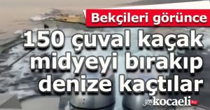 Bekçileri görünce 150 çuval kaçak midyeyi bırakıp denize kaçtılar