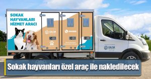 Sokak hayvanları özel araç ile nakledilecek