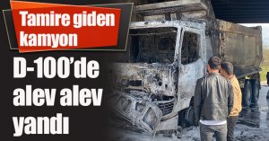 Tamire giden kamyon D-100’de alev alev yandı