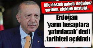 Aile destek paketi, doğalgaz yardımı, elektrik desteği... Erdoğan 'yarın hesaplara yatırılacak' dedi, tarihleri açıkladı