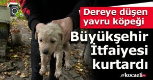 Dereye düşen yavru köpeği Büyükşehir İtfaiyesi kurtardı