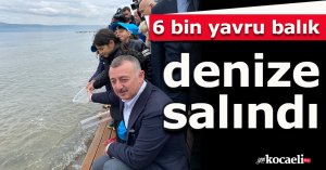 6 bin yavru balık denize salındı