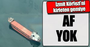 İzmit Körfezi’ni kirleten gemiye af yok
