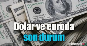 Dolar ve euroda son durum!