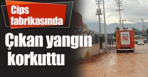 Cips fabrikasında çıkan yangın korkuttu