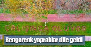 Rengarenk yapraklar dile geldi