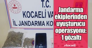 Jandarma ekiplerinden uyuşturucu operasyonu: 1 gözaltı