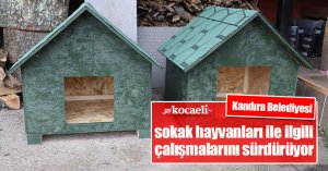 Kandıra Belediyesi sokak hayvanları ile ilgili çalışmalarını sürdürüyor