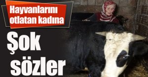 Hayvanlarını otlatan kadına şok sözler