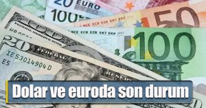 Dolar ve euroda son durum