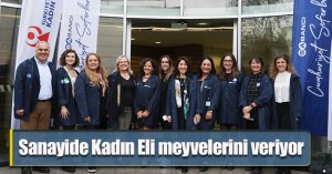 Sanayide Kadın Eli meyvelerini veriyor