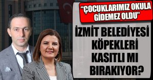 MUHTAR AYDIN, HÜRRİYET'E SİTEM ETTİ 