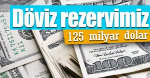 Merkez Bankası döviz rezervimiz 125 milyar dolar
