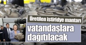 Üretilen istiridye mantarı vatandaşlara dağıtılacak