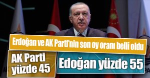 Erdoğan ve AK Parti'nin son oy oranı belli oldu