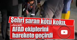 Şehri saran kötü koku, AFAD ekiplerini harekete geçirdi