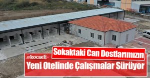 Sokaktaki Can Dostlarımızın Yeni Otelinde Çalışmalar Sürüyor