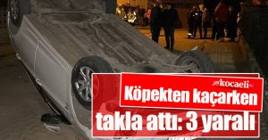 Köpekten kaçarken otomobiliyle takla attı: 3 yaralı