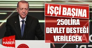 250 LİRA İŞVERENE DEVLET DESTEĞİ