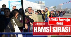 Emekli kuyruğu değil hamsi sırası