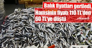 Balık fiyatları geriledi, hamsinin fiyatı 110 TL'den 60 TL'ye düştü