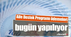 Aile Destek Programı ödemeleri bugün yapılıyor