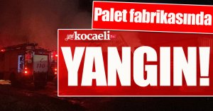 Palet fabrikasında yangın