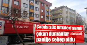 Çatıda süs bitkileri yandı, çıkan dumanlar paniğe sebep oldu