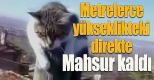 Metrelerce yükseklikteki direkte mahsur kaldı