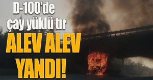 D-100’de çay yüklü tır alev alev yandı