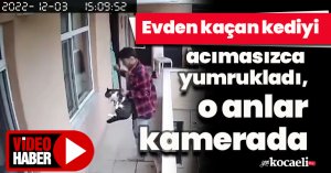 Evden kaçan kediyi acımasızca yumrukladı, o anlar kamerada