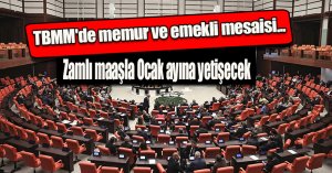 TBMM'de memur ve emekli mesaisi...