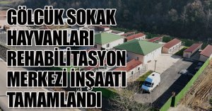 GÖLCÜK SOKAK HAYVANLARI REHABİLİTASYON MERKEZİ İNŞAATI TAMAMLANDI