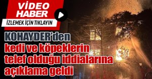 Metruk bina yangınında kedi ve köpeklerin telef olduğu iddialarına açıklama geldi