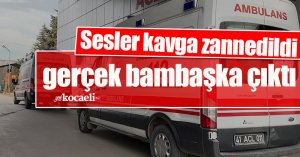 Sesler kavga zannedildi, gerçek bambaşka çıktı