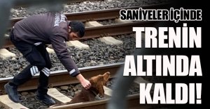 SANİYELER İÇİNDE TRENİN ALTINDA KALDI! 